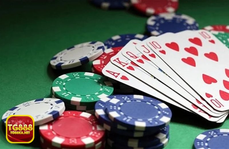 Giới Thiệu TG888 - Giới Thiệu TG888 về hệ sinh thái trò chơi nổi bật Giới Thiệu TG888 - Giới Thiệu TG888 về hệ sinh thái trò chơi nổi bật