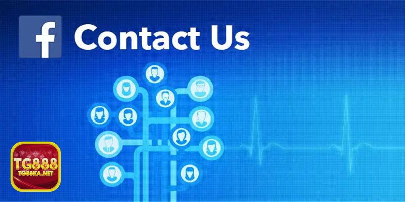 Liên Hệ TG888 - Hội viên mới cần hướng dẫn làm quen nền tảng Liên Hệ TG888 - Hội viên mới cần hướng dẫn làm quen nền tảng