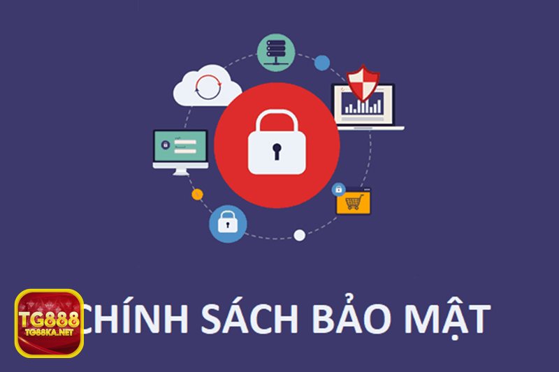 Chính Sách Bảo Mật - Những loại thông tin nền tảng tiếp nhận Chính Sách Bảo Mật - Những loại thông tin nền tảng tiếp nhận