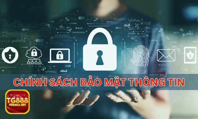 Chính Sách Bảo Mật - Kênh tiếp nhận thông tin từ người dùng Chính Sách Bảo Mật - Kênh tiếp nhận thông tin từ người dùng