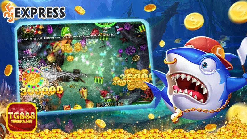 Bắn cá TG888 - Đăng ký nhanh, chọn sảnh hợp túi tiền và đọc nhịp bàn