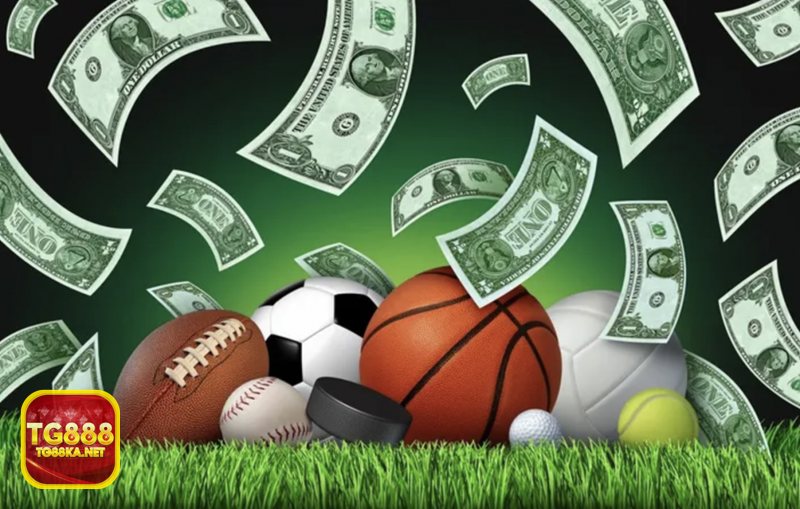 Kèo rung - Vì sao nhiều người chơi chọn TG888 để theo kèo